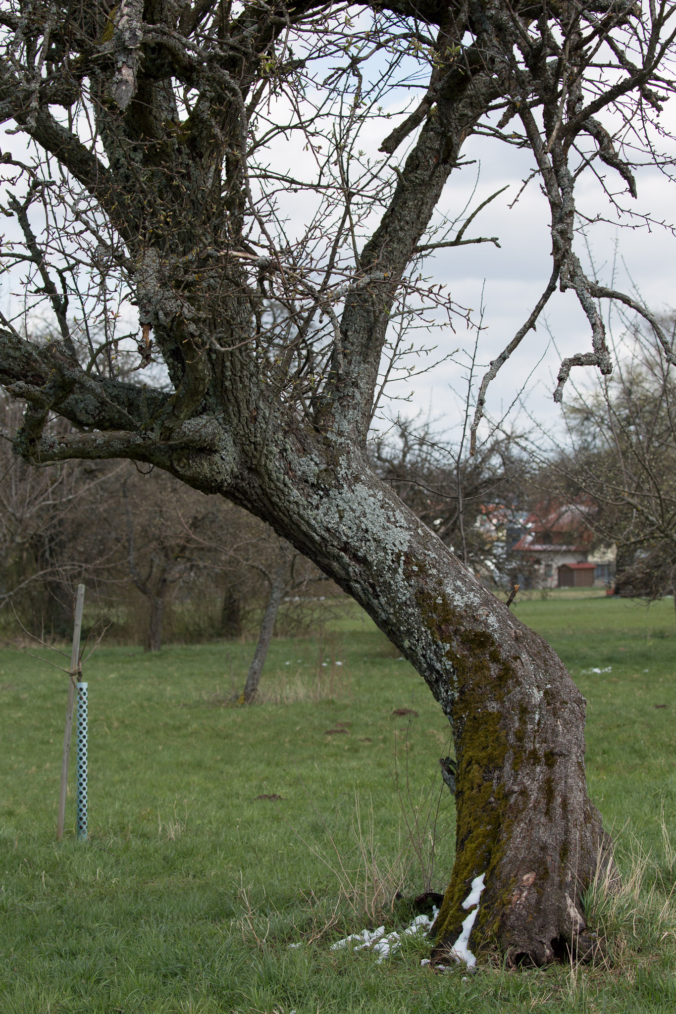 20220409154218 3K6A1945